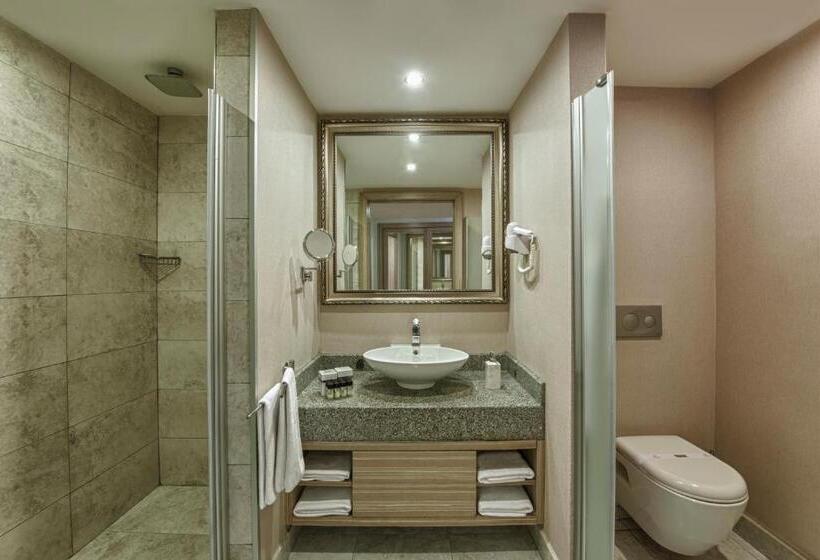 اتاق خانوادگی, Delphin Deluxe Resort