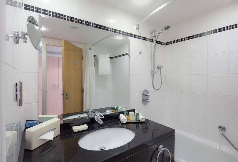 스탠다드 룸, Hilton Dublin Airport