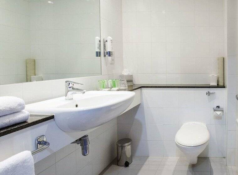 이그제큐티브 룸, Maldron Hotel Smithfield Dublin City