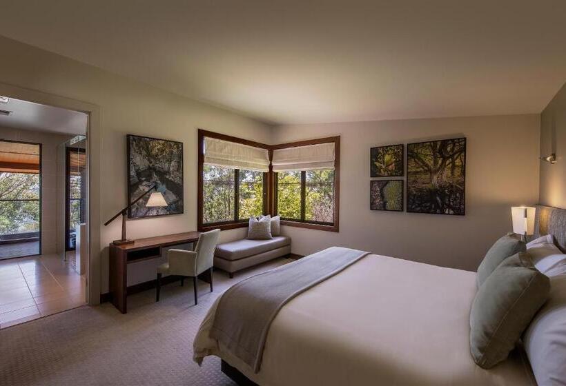 ２ベッドルームアパートメント, Spicers Peak Lodge