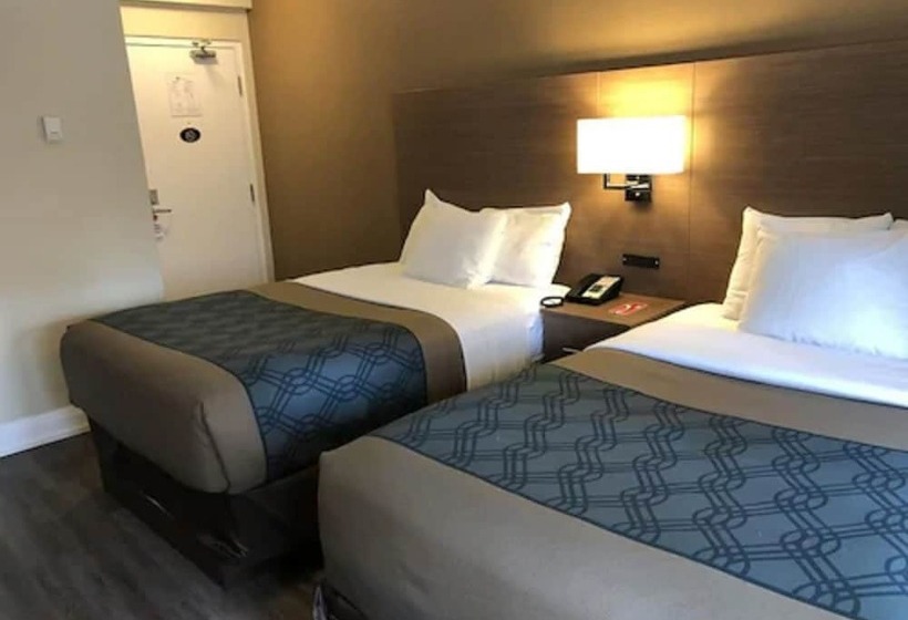 Standard Værelse 2 Dobbeltsenge, Econolodge Downtown Toronto