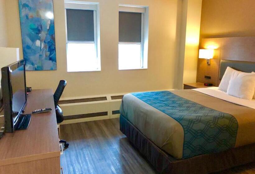 スタンダードルーム, Econolodge Downtown Toronto