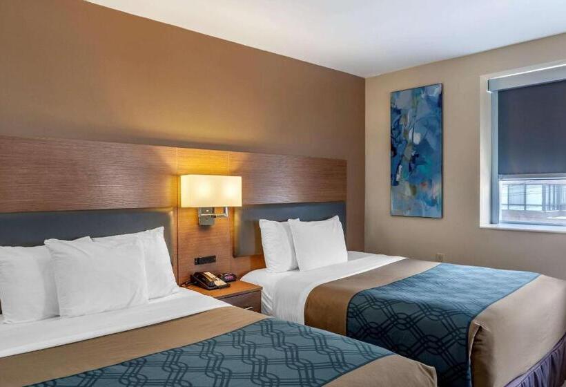 ２ダブルベッドのスタンダードルーム, Econolodge Downtown Toronto