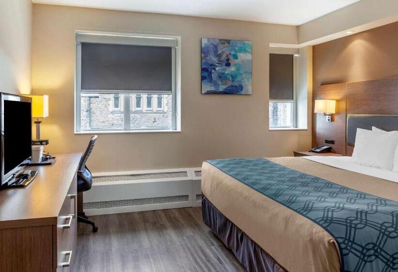 キングサイズベッドのスタンダードルーム, Econolodge Downtown Toronto