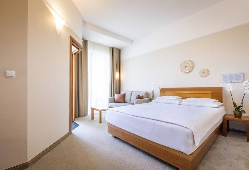 اتاق اکونومی, Livada Prestige   Terme 3000   Sava Hotels & Resorts