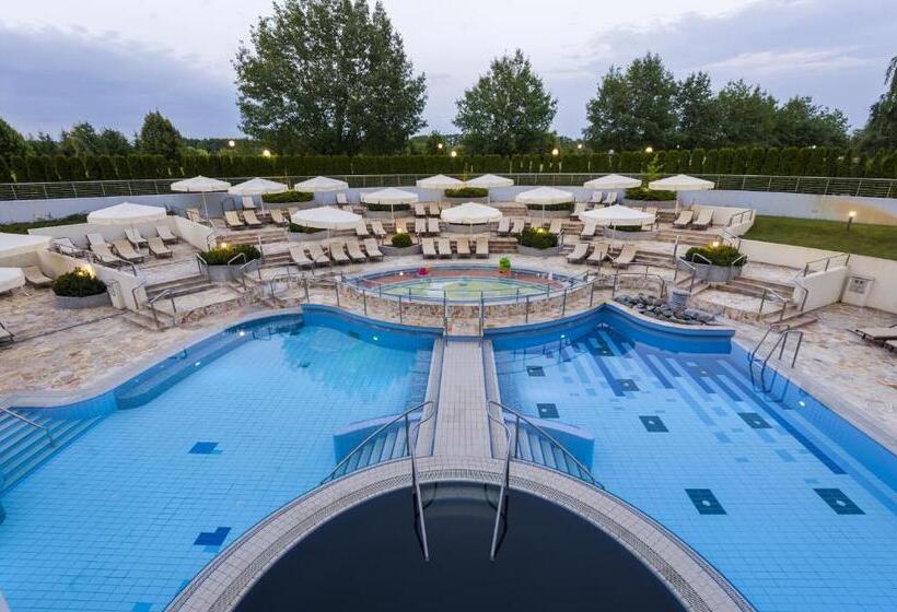 اتاق استاندارد, Livada Prestige   Terme 3000   Sava Hotels & Resorts