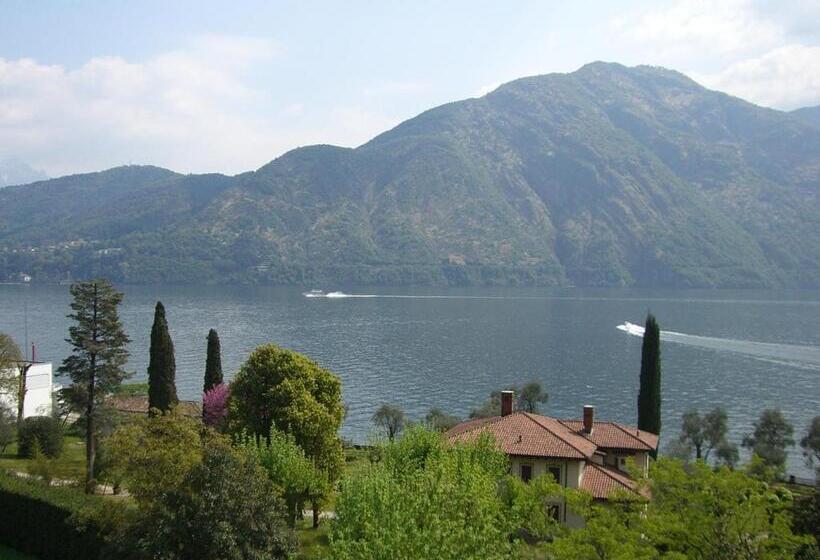 Номер Стандарт, Lario