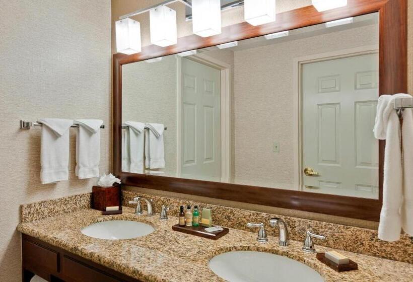 Suite com Hidromassagem, Chicago Marriott Midway