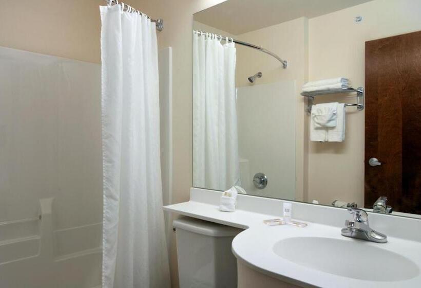 Студия Deluxe, Microtel Inn & Suites By Wyndham Bellevue