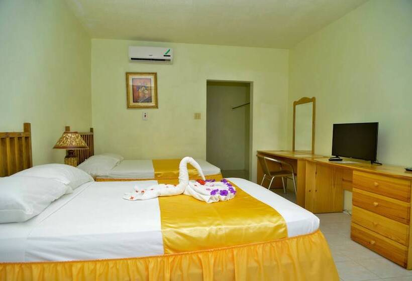 اتاق استاندارد با چشم‌انداز باغ, Fun Holiday Beach Resort