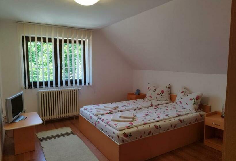 آپارتمان 3 خوابه, Casa Ildikó