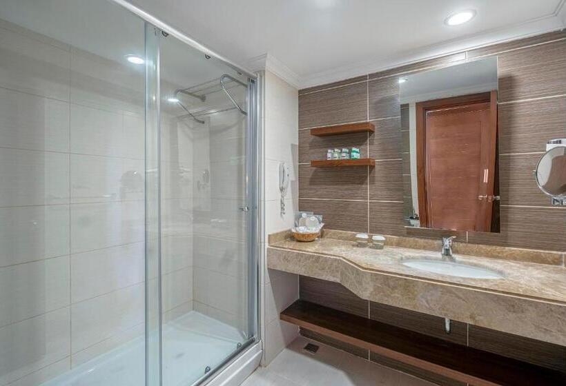 اتاق استاندارد با چشم‌انداز, Leodikya Kirman Premium - Ultra All Inclusive