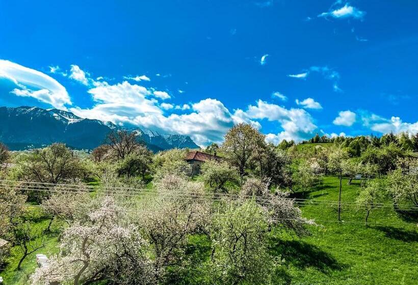 标准间, Transylvania Mountain View Cdi