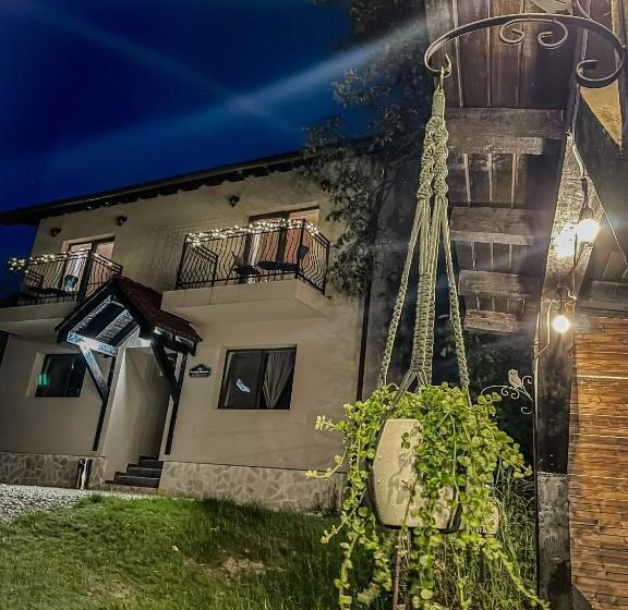 标准间, Transylvania Mountain View Cdi
