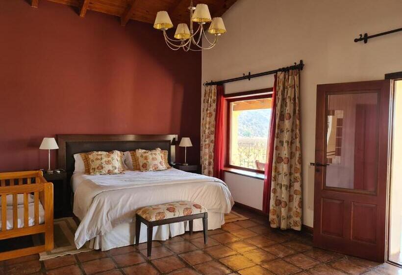 带观景的标准间, Viñas De Cafayate Wine Resort