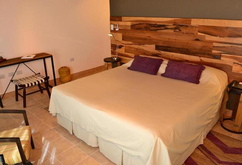 标准房带园景, Viñas De Cafayate Wine Resort