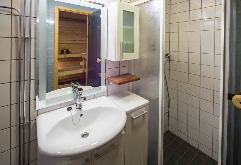 Студия Стандарт, Lapland Hotels Saaga