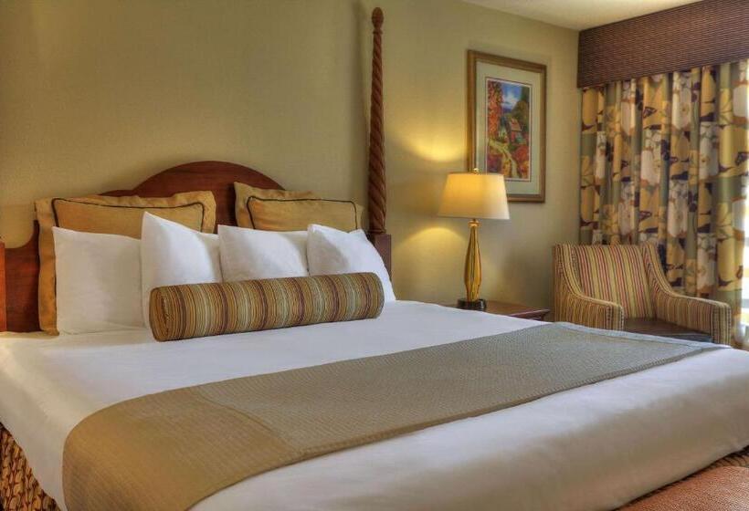 带按摩浴盆的套房, Quality Inn Near The Island Pigeon Forge