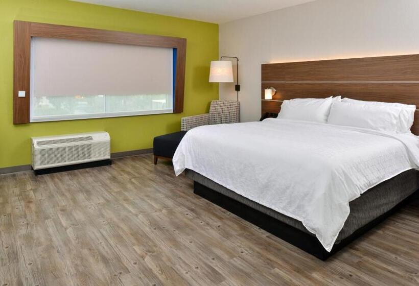 带大床的标准间, Holiday Inn Express Orlando   South Park, An Ihg
