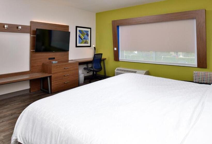 带大床的标准间, Holiday Inn Express Orlando   South Park, An Ihg
