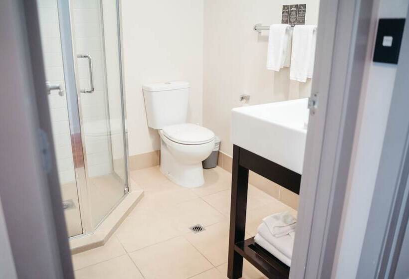 Apartament 1 Dormitor, Auckland City Hotel   Hobson St
