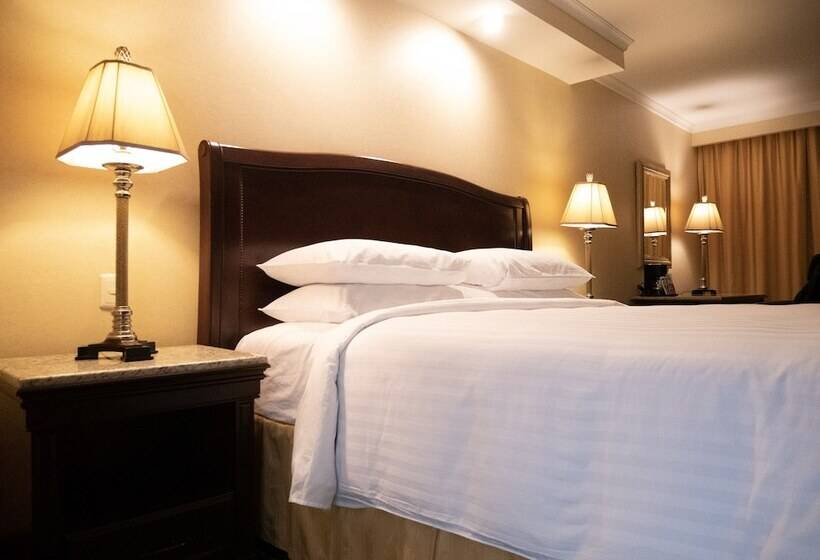 エクゼクティブルーム, Marriott Torreon