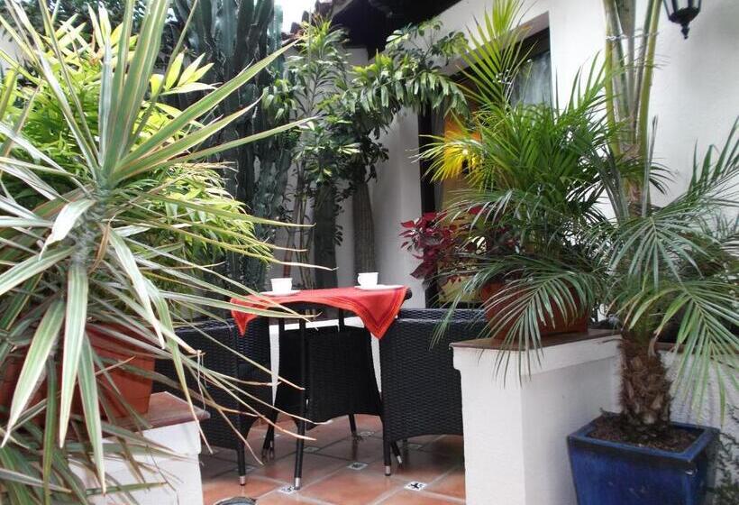 Апартаменты 1 Спальня с Террасой, Apartamentos Monasterio De San Antonio   Adults Only