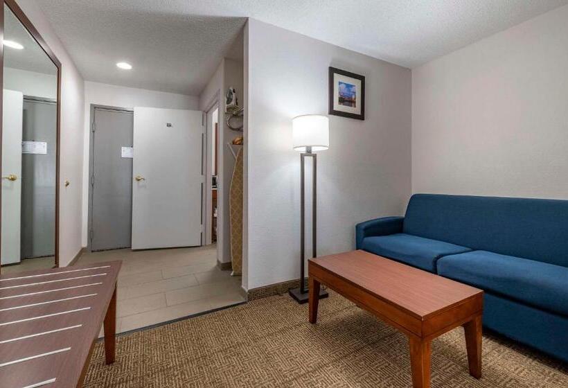 キングサイズベッドのスイートルーム, Comfort Inn Airport