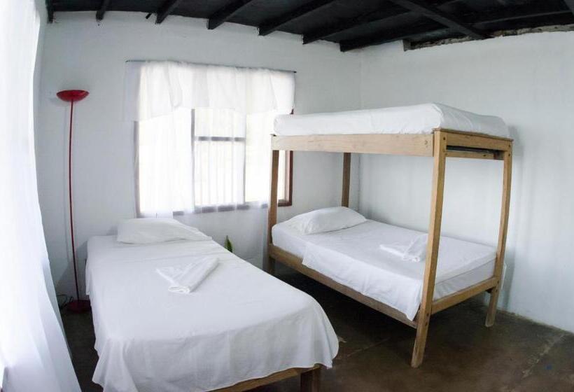 트리플 스탠다드 전망룸, El Hongo Finca Hostal / Camping