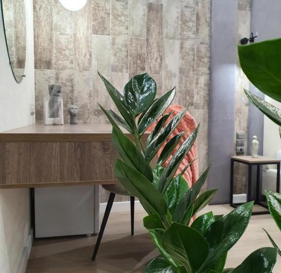 스탠다드 스튜디오 킹침대, Citylife Boutique