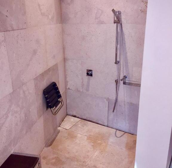 Habitación Estándar Adaptada para Discapacitados, Parador De Alcala de Henares