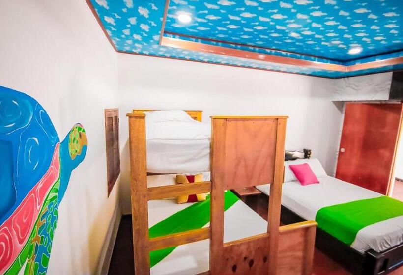 اتاق خانوادگی, Isla Los Erizos Ecohouse