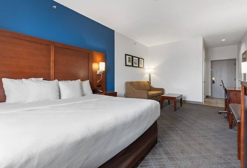 适合残疾人士使用的套间, Comfort Suites Lombard   Addison