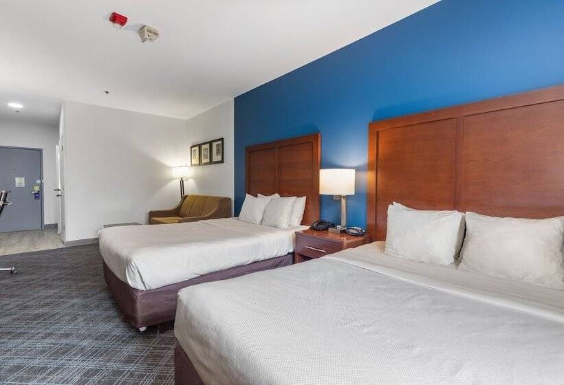 适合残疾人士使用的套间, Comfort Suites Lombard   Addison