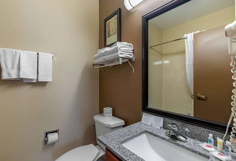 Люкс, Comfort Suites The Colony  Plano West