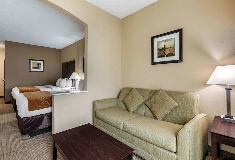 Люкс Адаптированный для Инвалидов, Comfort Suites The Colony  Plano West