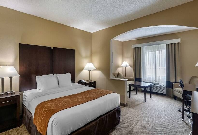Люкс Адаптированный для Инвалидов, Comfort Suites The Colony  Plano West