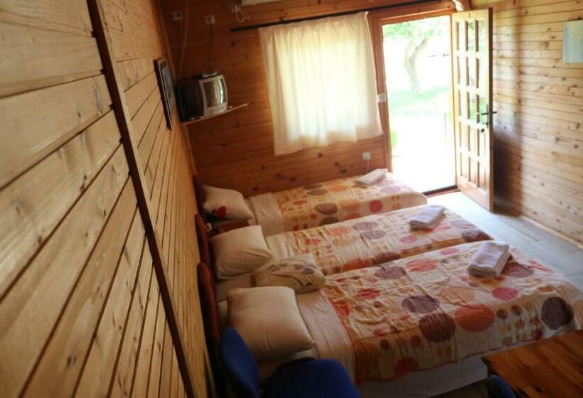استودیو استاندارد با چشم‌انداز باغ, Guest House Jadran Pol