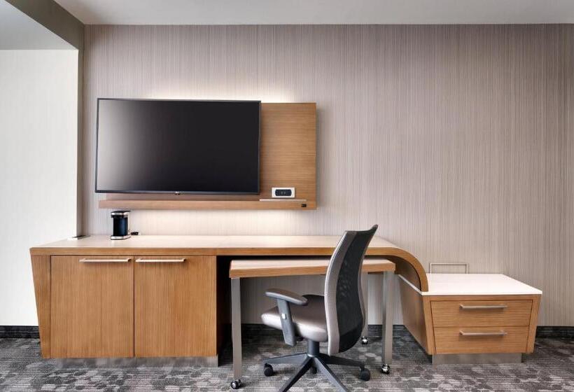 스탠다드 룸, Courtyard By Marriott Atlanta Duluth Downtown