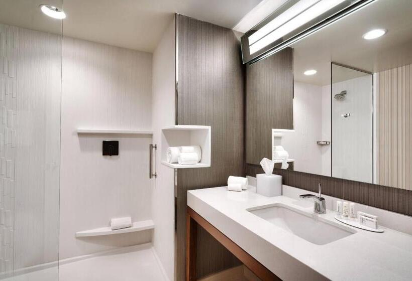 Номер Стандарт Кровать Кинг Адаптированный для Инвалидов, Courtyard By Marriott Atlanta Duluth Downtown