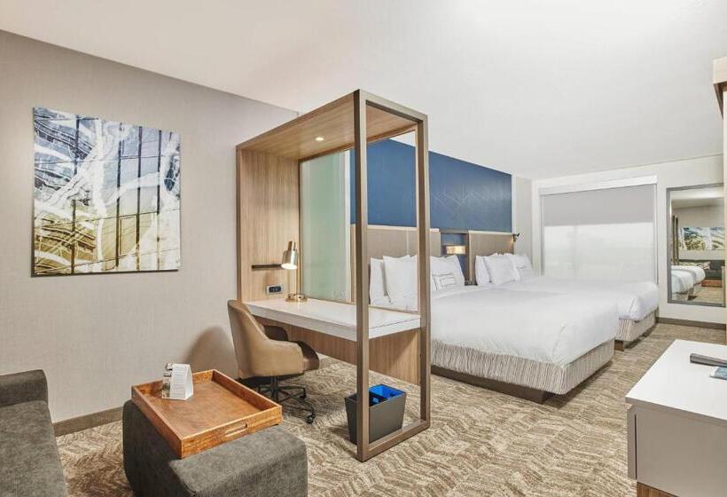 Lakosztály, Springhill Suites By Marriott Chicago Chinatown