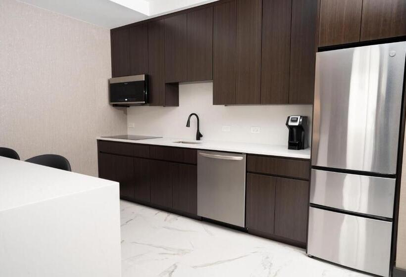 Tetőtéri Lakosztály, Springhill Suites By Marriott Chicago Chinatown