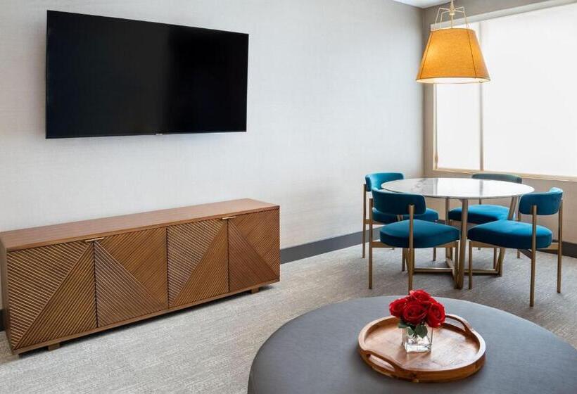 Пентхаус Люкс, Springhill Suites By Marriott Chicago Chinatown
