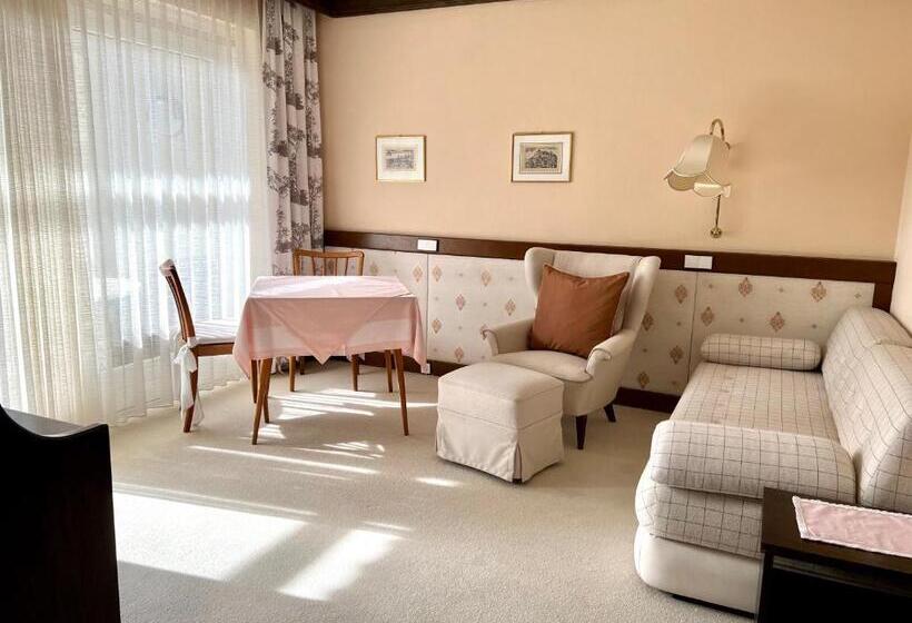 Апартаменты 1 Спальня, Dietrichsteinerhof Apartments & Rooms