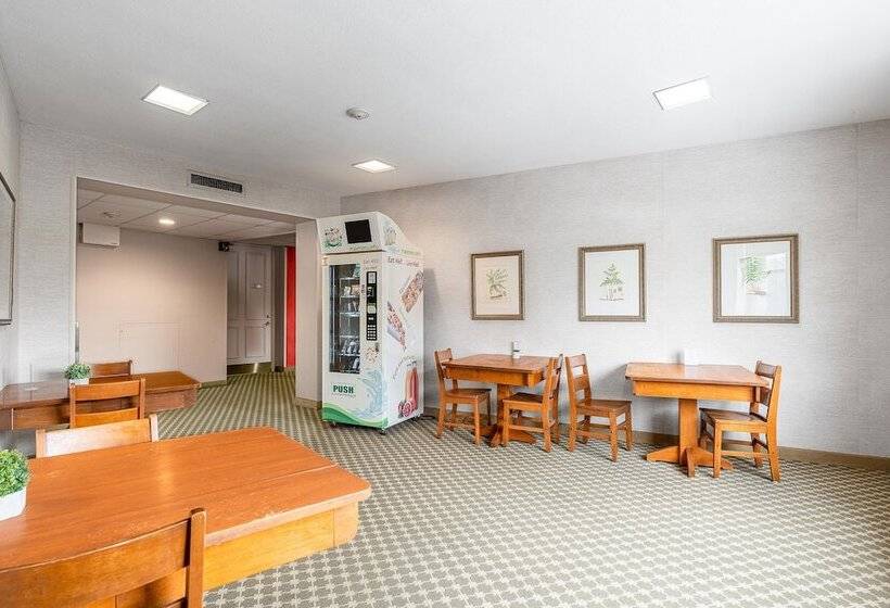 スイート（家族用）, Guest House On The Mount