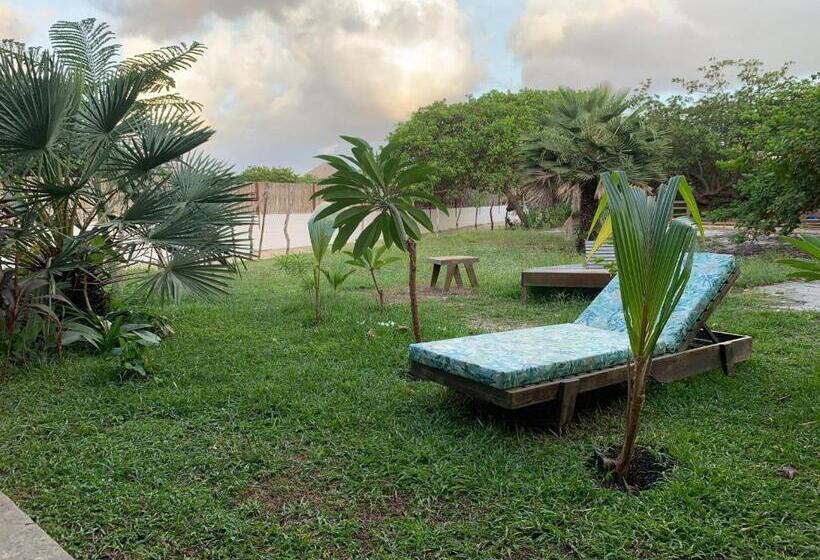 Трехместный Номер Deluxe, Vila Das águas