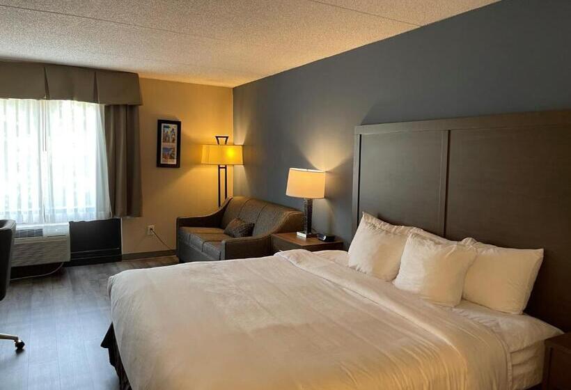 Номер Стандарт Кровать Кинг Адаптированный для Инвалидов, Comfort Inn Horsham   Philadelphia