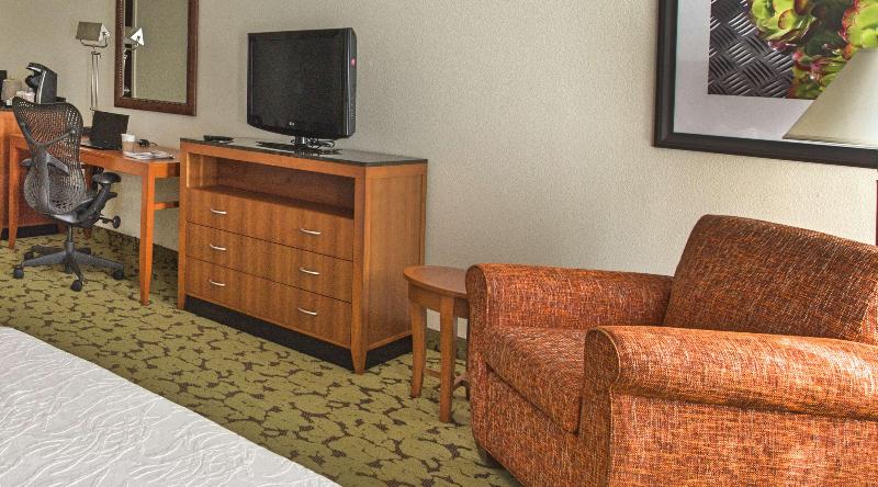 스탠다드 룸 킹사이즈 침대, Hilton Garden Inn Huntsville/space Center
