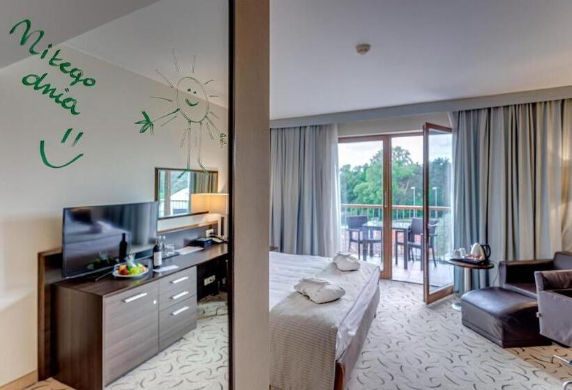 Номер Премиум, Holiday Inn Resort Warsaw Józefów, An Ihg