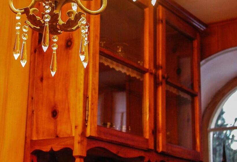 带1个卧室带观景的公寓, Hôtel Bella Tola & Spa